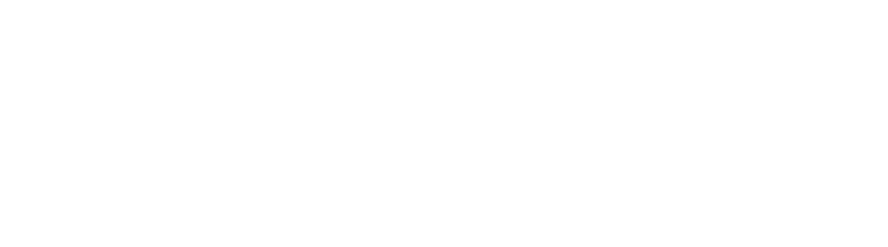 RAKURS TRADE